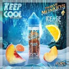 Twelve Monkeys 50ml Puris Iced E-Liquid